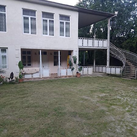 Tamuna Guest House Martvili Extérieur photo
