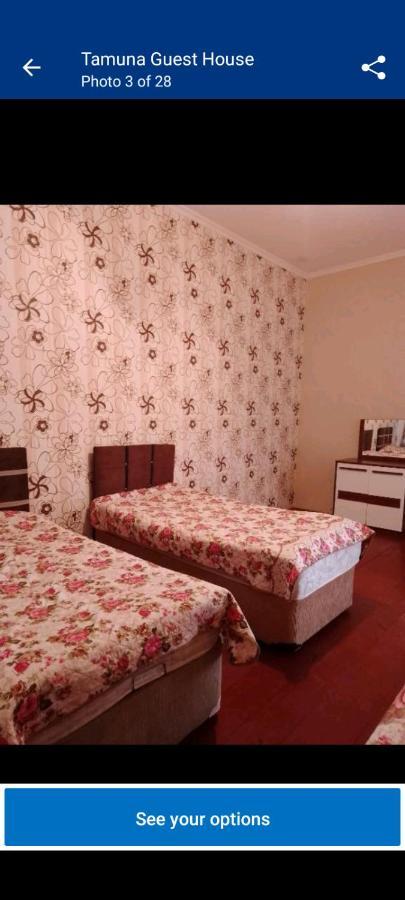 Tamuna Guest House Martvili Extérieur photo